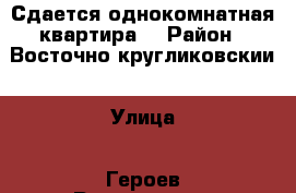 Сдается однокомнатная квартира  › Район ­ Восточно-кругликовскии › Улица ­ Героев Разведчиков › Дом ­ 28 › Этажность дома ­ 16 › Цена ­ 12 000 - Краснодарский край, Краснодар г. Недвижимость » Квартиры аренда   